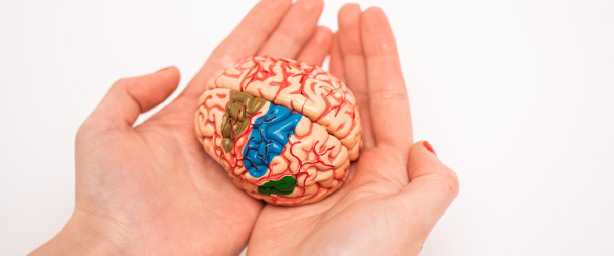 eletrochoque-para-depressao Mãos em formato de concha, segurando um pequeno cérebro nas palmas.