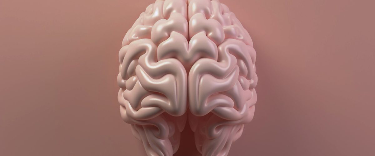 Cérebro de plástico na cor rosé.